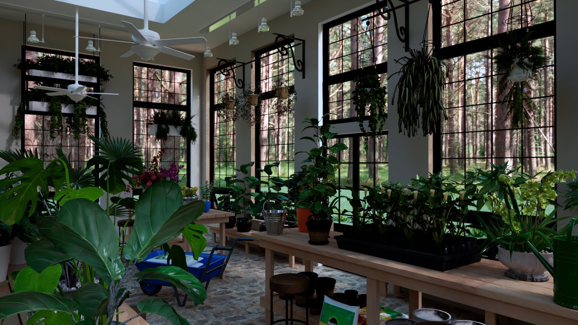 Tropical plants near the GreenHouse entry